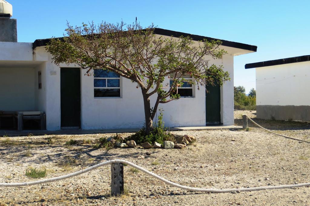 Bahia Bustamante Lodge Oda fotoğraf