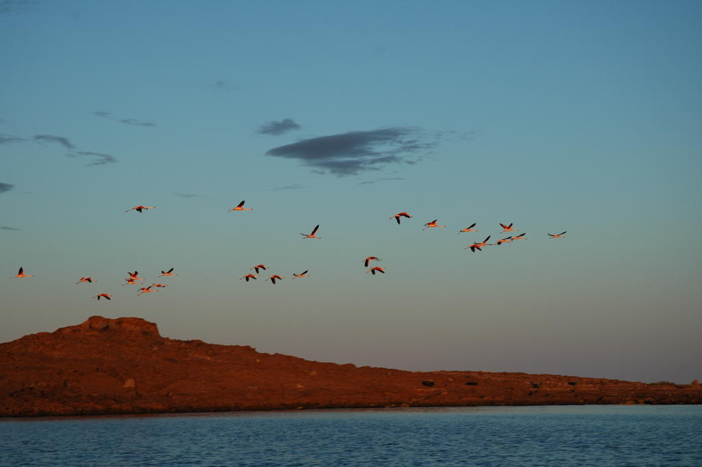 Bahia Bustamante Lodge Dış mekan fotoğraf