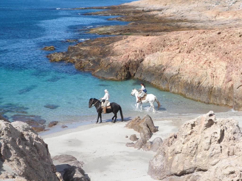 Bahia Bustamante Lodge Dış mekan fotoğraf