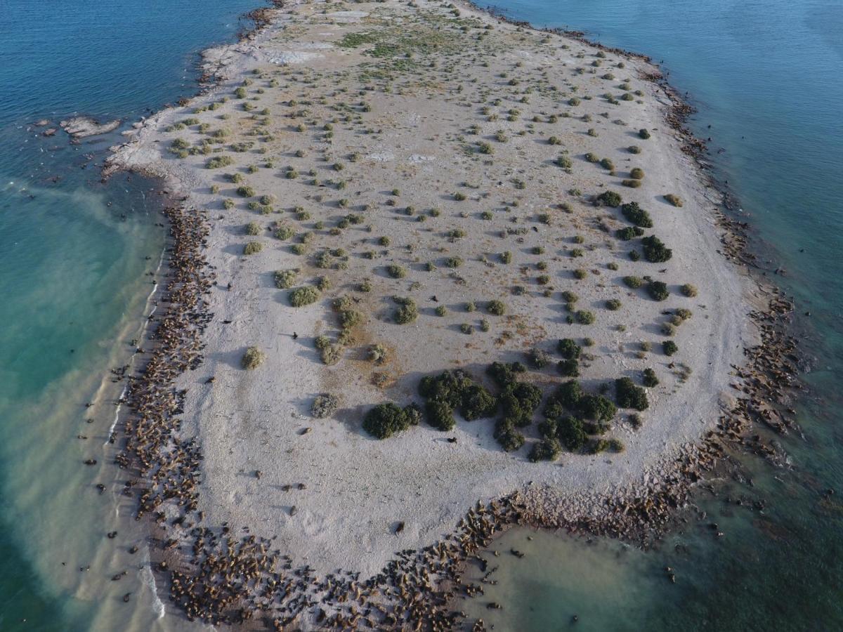 Bahia Bustamante Lodge Dış mekan fotoğraf
